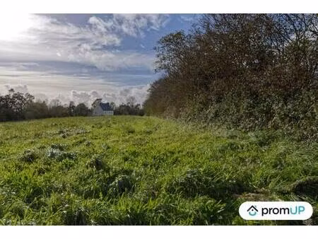 vente terrain 5810 m² loqueffret (29530)