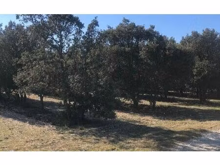 terrain montségur-sur-lauzon 39914 m² t-0 à vendre  165 000 €