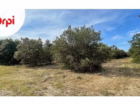 terrain montségur-sur-lauzon m² t- à vendre  165 000 €