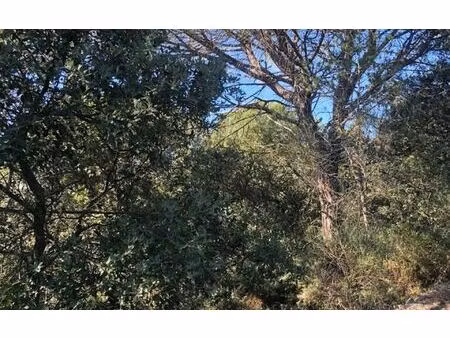 terrain montségur-sur-lauzon m² t- à vendre  176 000 €