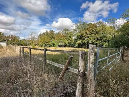 vente terrain à nalliers (85370) : à vendre / 3293m² nalliers