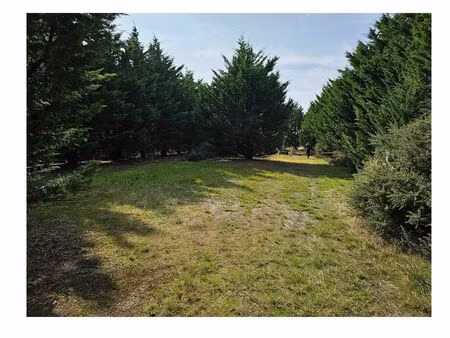 vente terrain 1500 m² préfailles (44770)