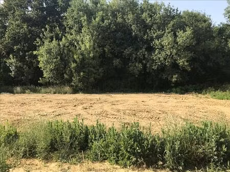 vente terrain 1000 m² saint-laurent-de-la-prée (17450)