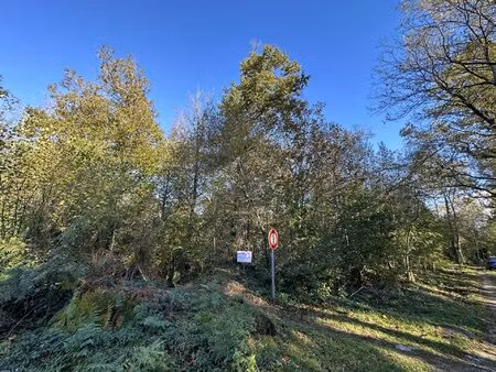 st salvy de la balme terrain