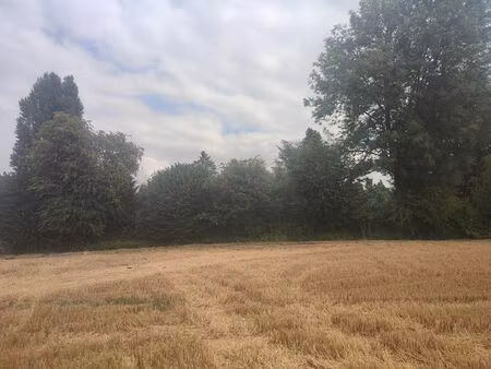 vente terrain  1003.00m²  seraincourt