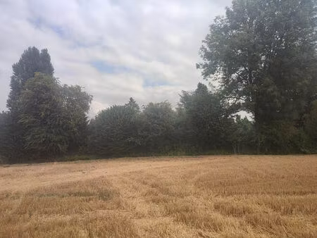 vente terrain 1003 m² seraincourt (95450)