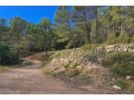 terrain en zone naturelle solliès-toucas 30000 m²