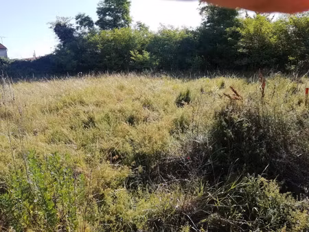 vente terrain andilly 17230 - 136400 € - surface privée