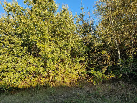 un terrain a batir 2360 m²