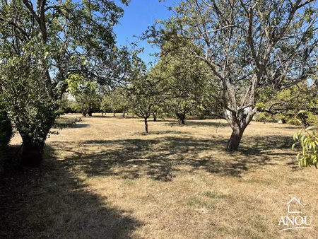 terrain à bâtir grand  arboré et divisible ! opportunité rare !