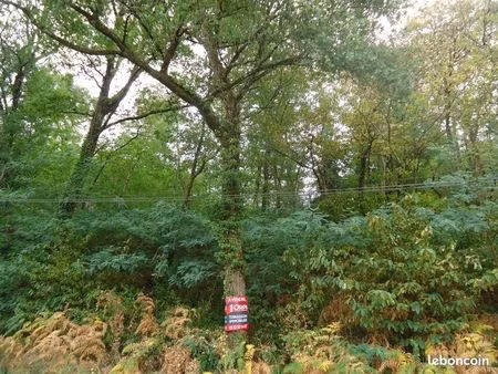 terrain 2 294 m² cublac