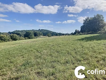 grand terrain constructible proche garlin sans vis a vis