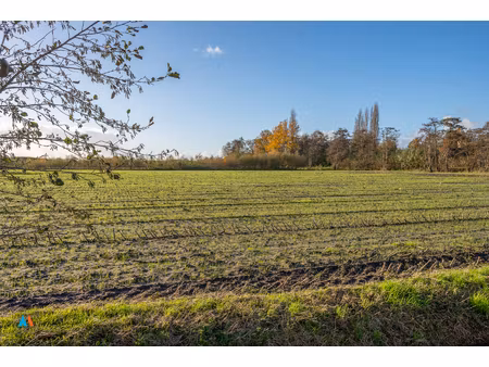 grond te koop in kalmthout