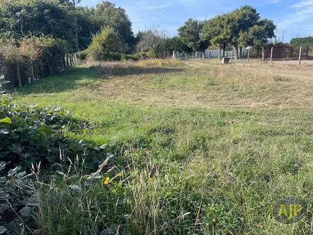 vente terrain 1000 m² à le taillan-médoc (33320)  315 000 €