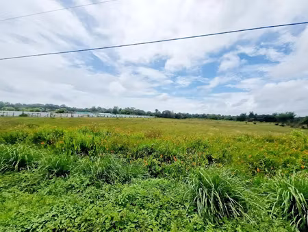 vente terrain à batir 10000 m² à macouria tonate (97355)  120 000 €