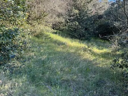 terrain constructible