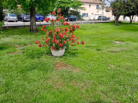 vente terrain 300 m² à millery (69390)  249 000 €