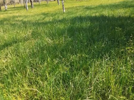 terrain à bâtir 1513 m2