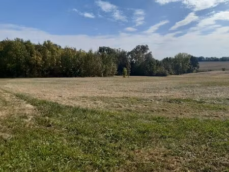 terrain constructible