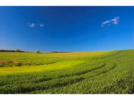 roquettes-lotissement