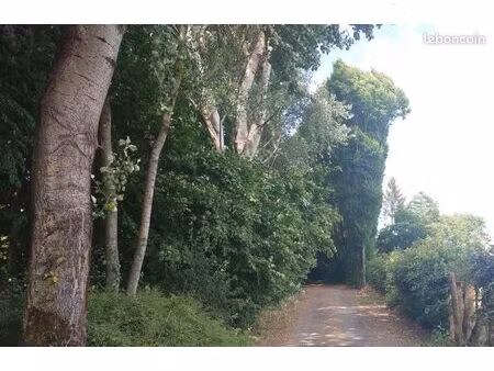 terrain constructible viabilisé 1839m2 sailly lez lannoy