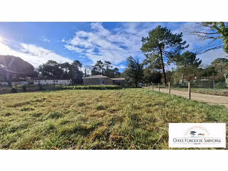 terrain constructible 901 m2