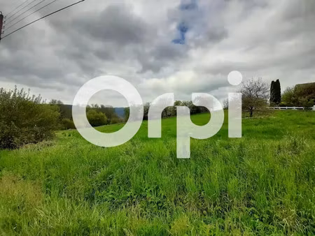 vente terrain à batir 8578 m² à saint-die-des-vosges (88100)  145 000 €