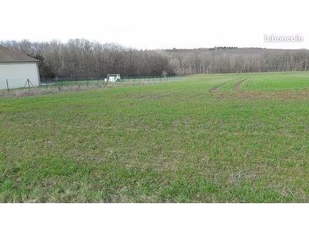 terrain constructible 2000 m² à st-georges