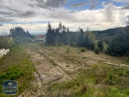 terrain à vendre 2500 m² - saint-haon-le-vieux (42) - 110 000€