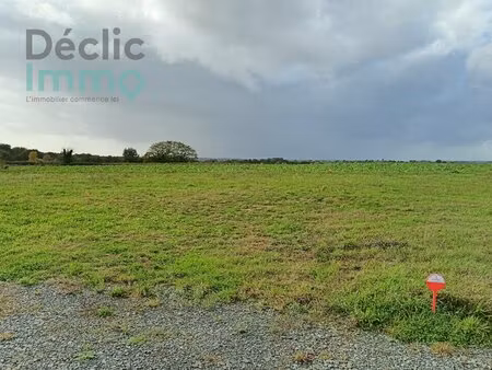 terrain constructible