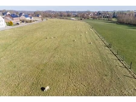 we invest hesbaye vous présente...