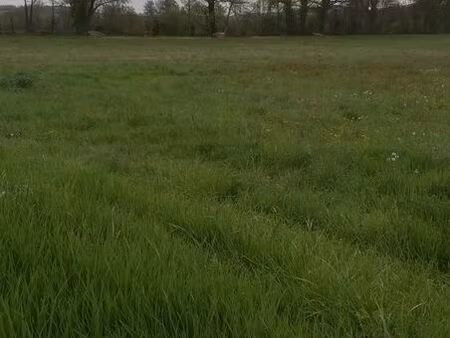 bâtiment avec cu et 6 ha de terre agricole