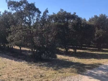 terrain agricole 39 914 m² montsegur sur lauzon