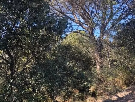 terrain agricole 52 913 m² montsegur sur lauzon