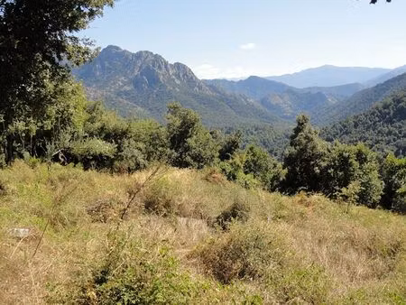 terrain agricole corse du sud
