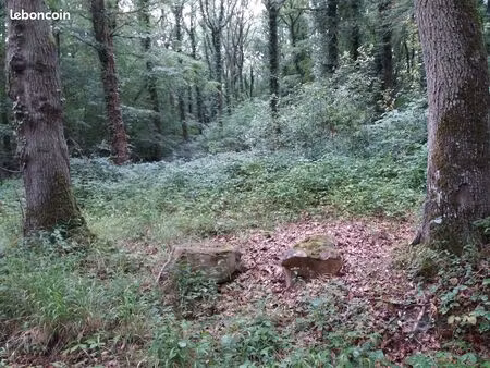 terrain boisé à la couture boussey 27750