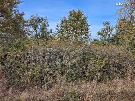 terrain non constructible 2 parcelles de 3822m2