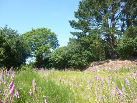 terrain non constructible saint agathon 4920 m2