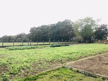 en vente terrain non constructible 1 110 m² – 84 500 € |la chapelle-des-marais
