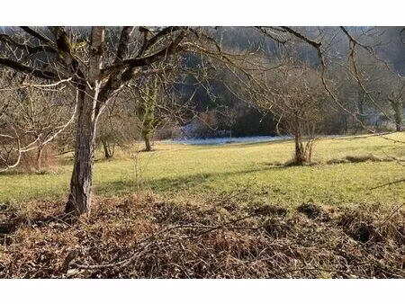 terrain terrasson-lavilledieu 1585 m² t-0 à vendre  18 500 €