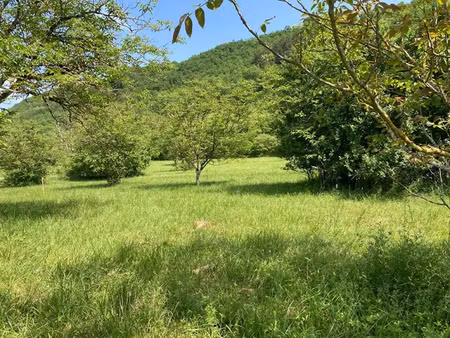 vente terrain 1585 m² à terrasson-lavilledieu (24120)  19 000 €