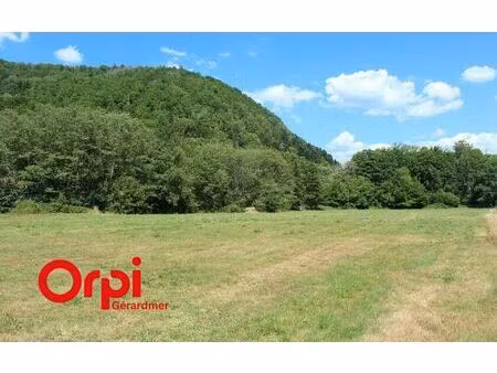 terrain thiéfosse m² t- à vendre  405 000 €