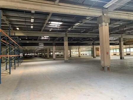 location entrepôt / local d'activités canejan 3 500 m²