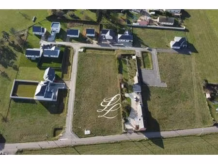 les herminettes les ventes