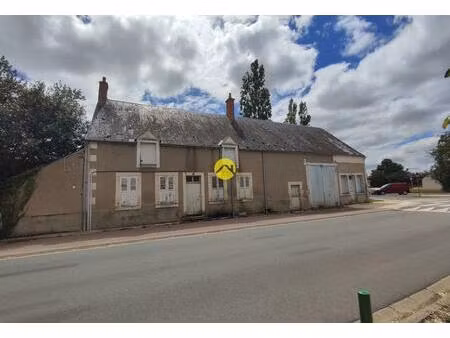 vente maison 12 pièces 170 m² levet (18340)