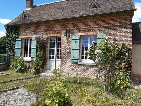 silly-tillard (60430)