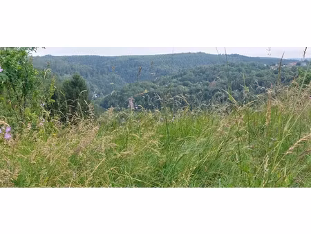 vente terrain 3115 m² à hommert (57870)  70 000 €