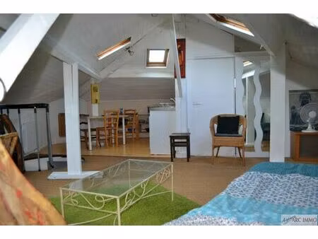 location appartement 1 pièce 26 m² à toulouse (31300)