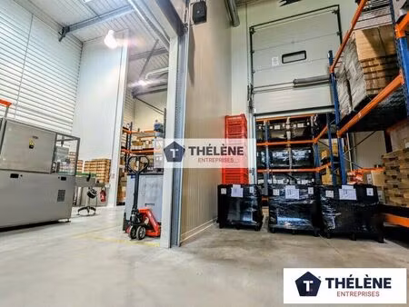 location commerce 281 m² à vendargues (34740)