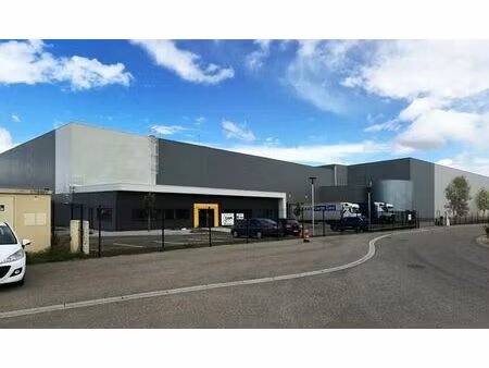 vente entrepôt / local d'activités ensisheim 8 039 m²